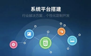 罗缇克新能源汽车销售管理系统定制开发案例